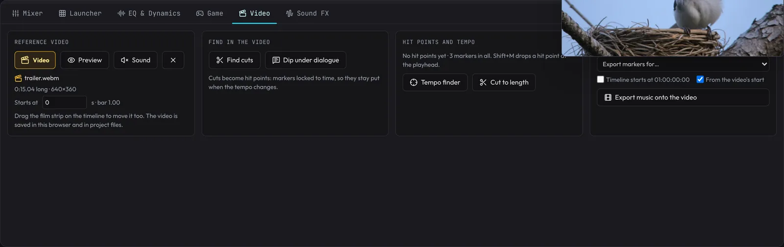 The Video tab: the reference video, its start, Find cuts, Dip under dialogue, hit points, the tempo finder and exports.